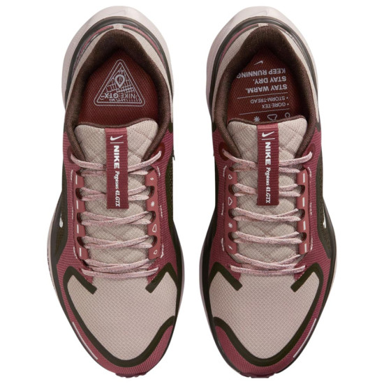 Nike Pegasus 41 GORE-TEX W